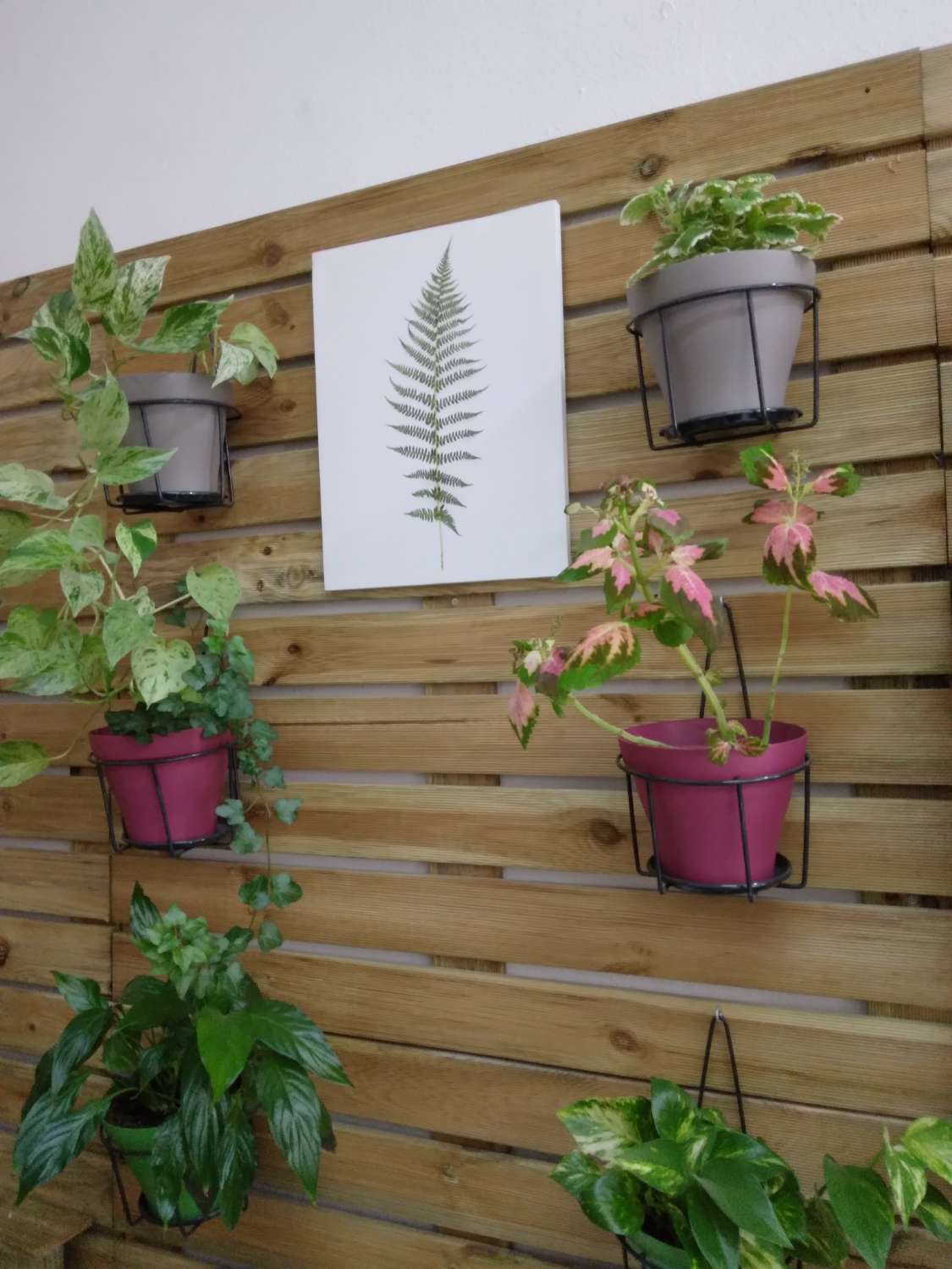 Shop for rent in Calvario (Torremolinos)