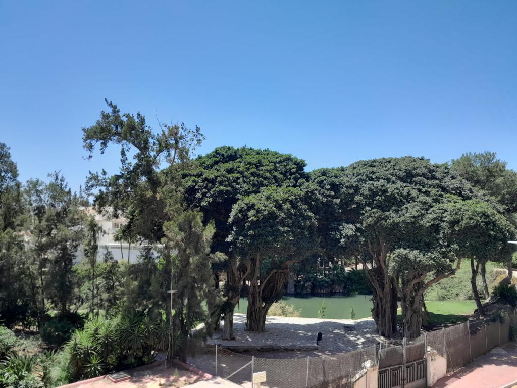 Piso in vendita a Hacienda Torrequebrada (Benalmádena)