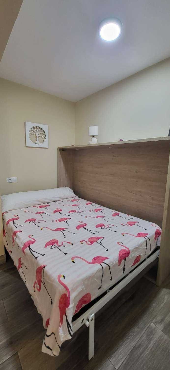 Studio Flat for sale in Parque de la Paloma (Benalmádena)