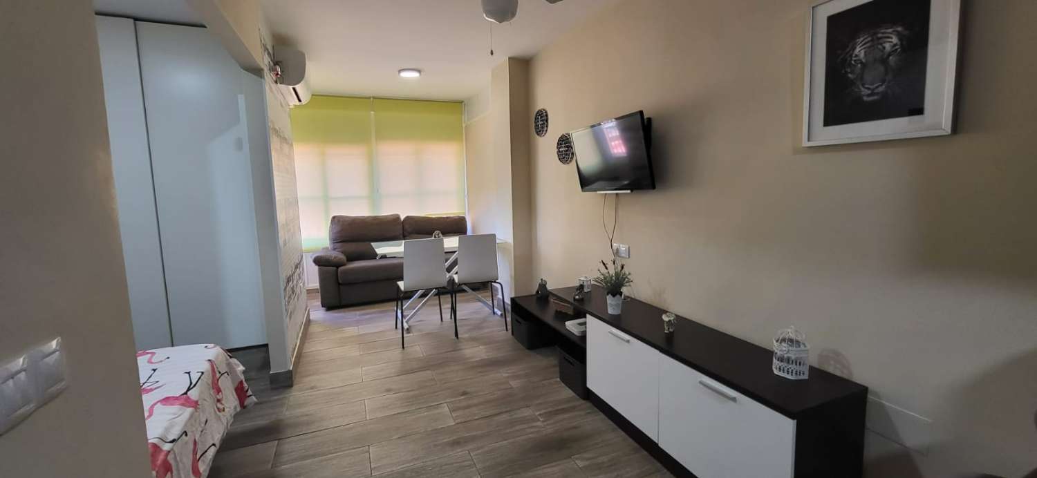 Studio Flat for sale in Parque de la Paloma (Benalmádena)