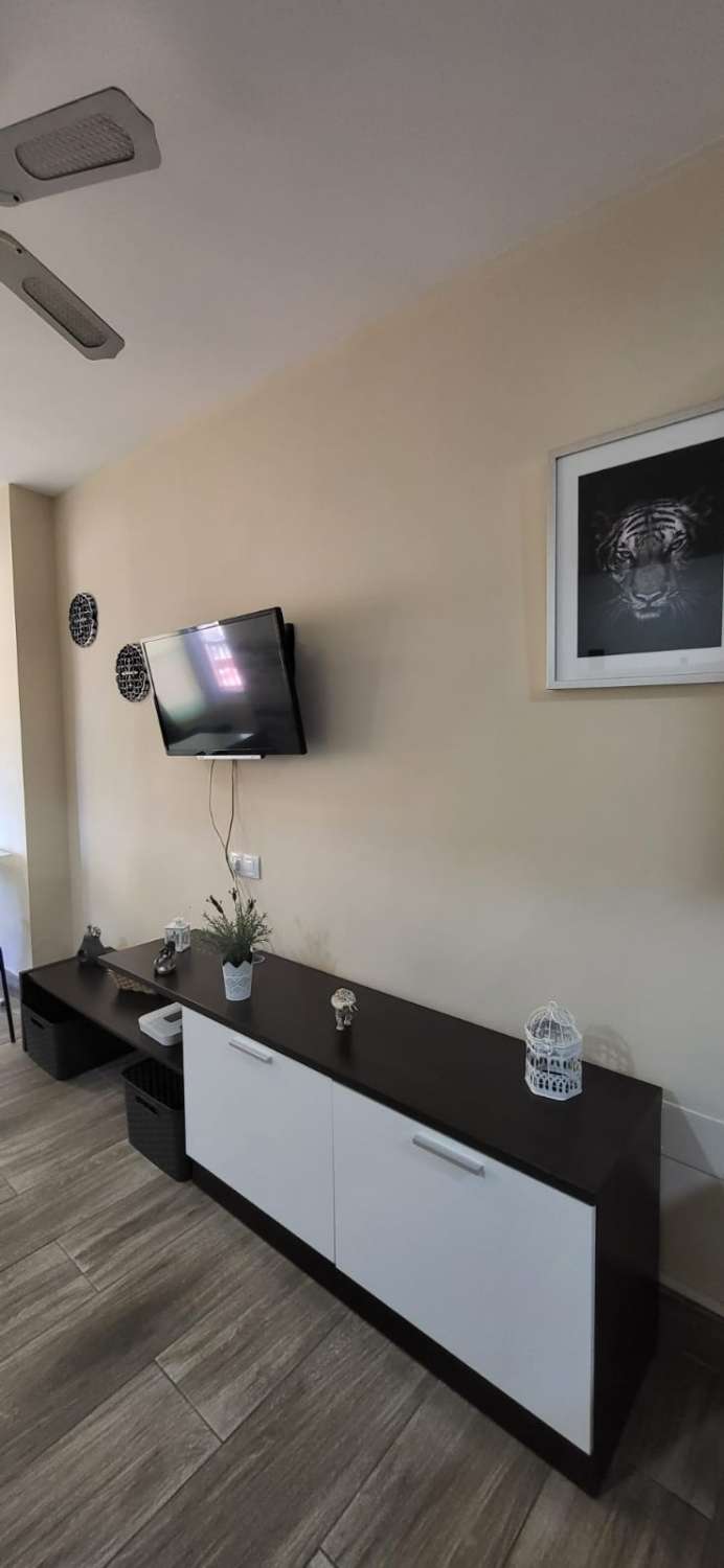 Studio Flat for sale in Parque de la Paloma (Benalmádena)
