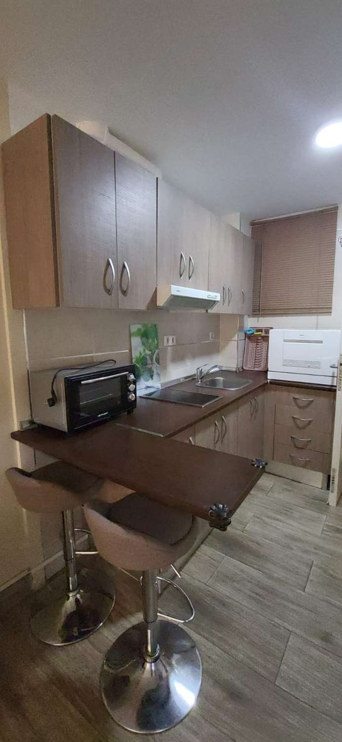 Studio Flat for sale in Parque de la Paloma (Benalmádena)