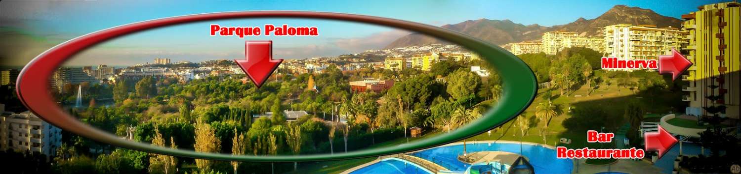 Studio Flat for sale in Parque de la Paloma (Benalmádena)