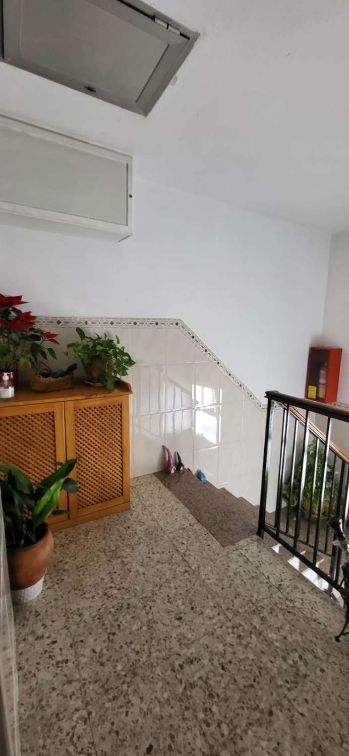 Flat for rent in Arroyo de la Miel (Benalmádena)