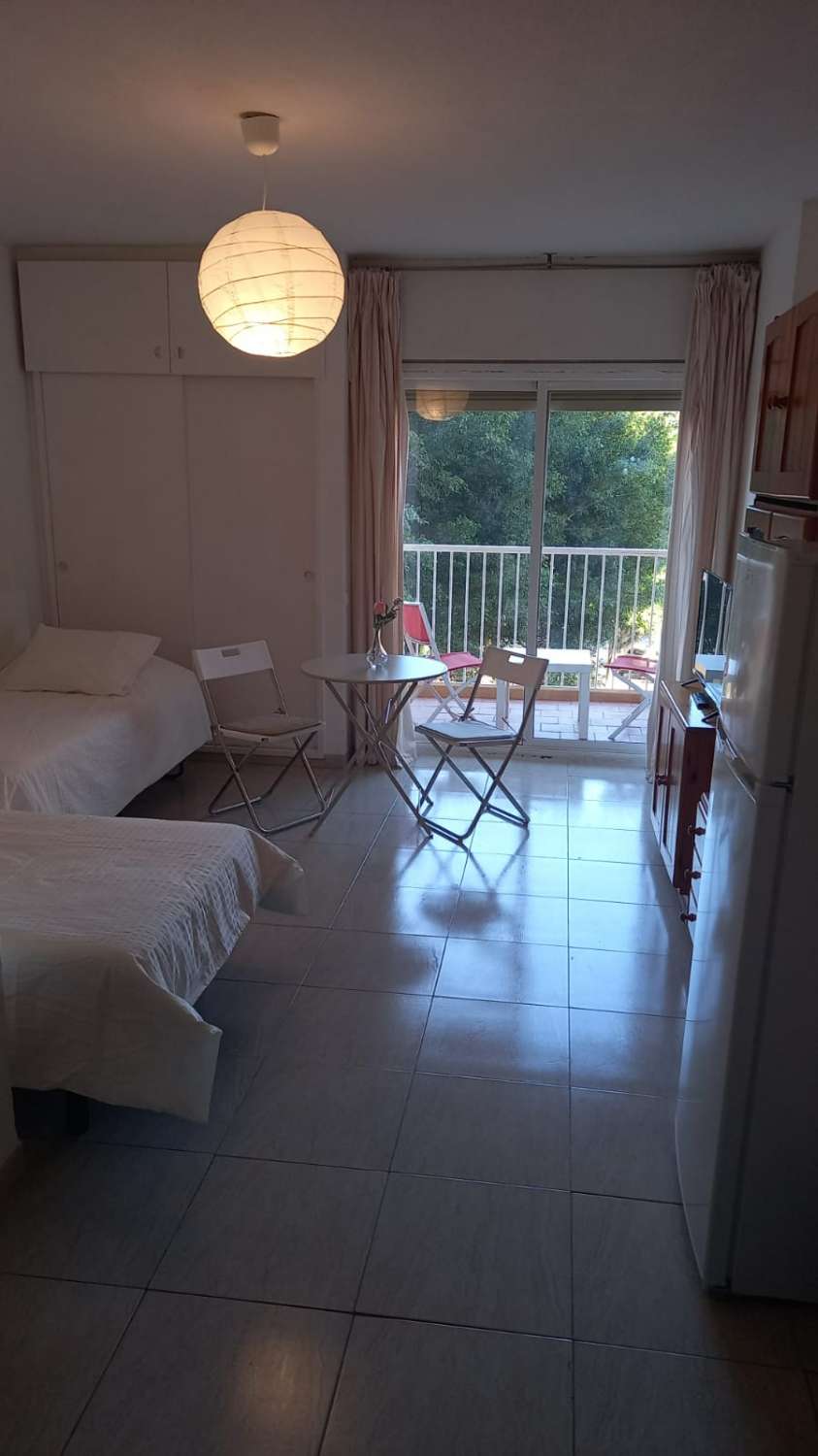 Studio Flat for sale in Parque de la Paloma (Benalmádena)