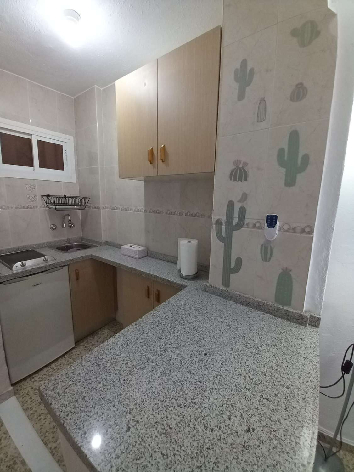 Studio Flat for sale in Parque de la Paloma (Benalmádena)