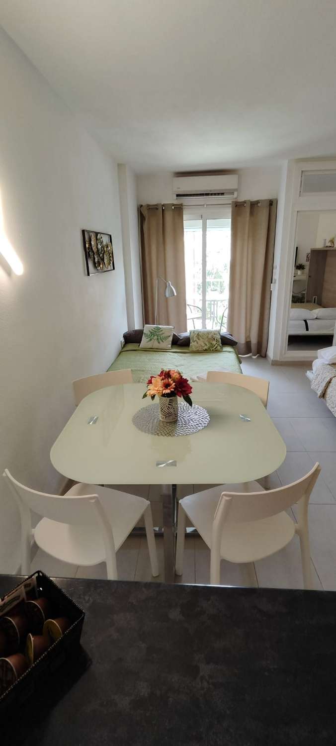 Studio in vendita a Parque de la Paloma (Benalmádena)
