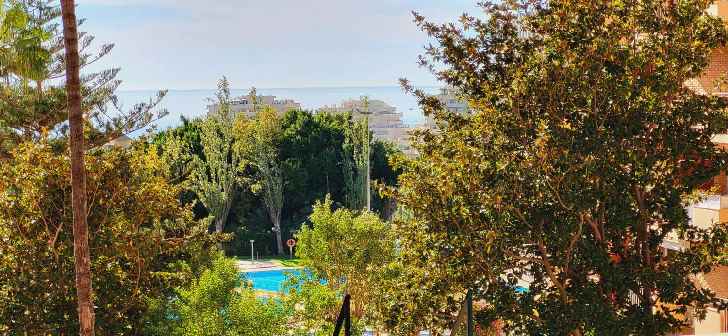 Studio Flat for sale in Benalmádena Costa