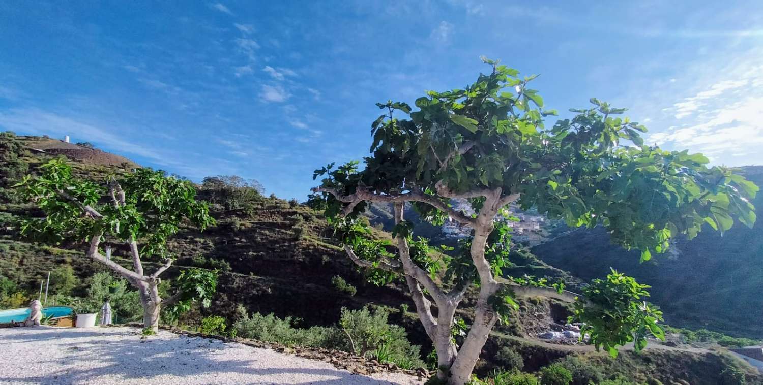 Casa in vendita a Benagalbón (Rincón de la Victoria)