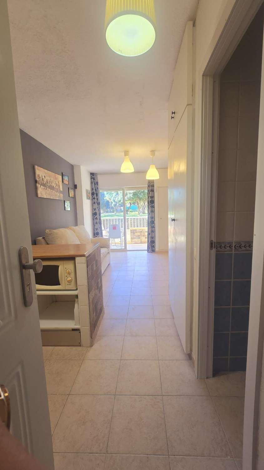 Studio Flat for sale in Parque de la Paloma (Benalmádena)
