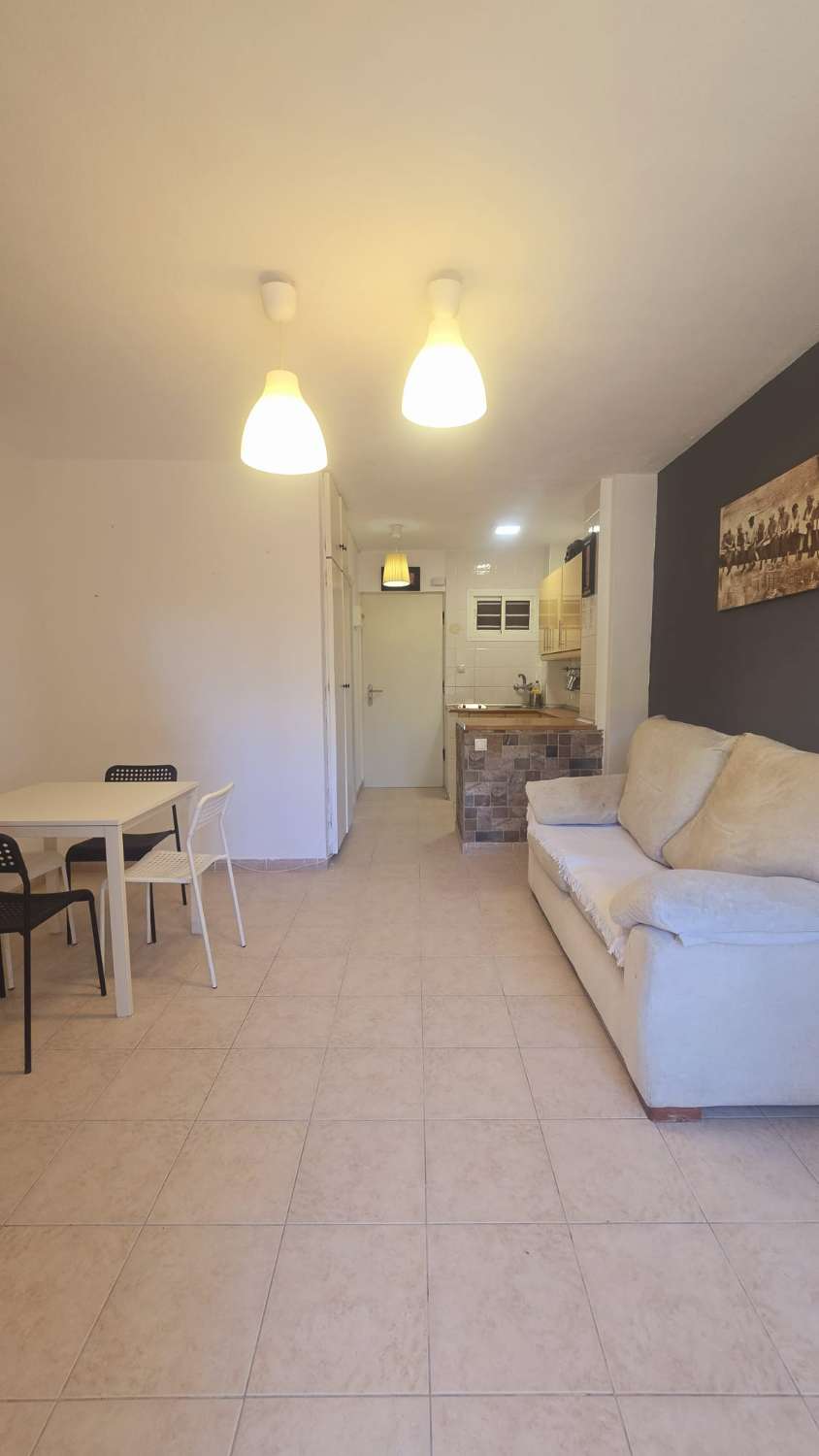Studio Flat for sale in Parque de la Paloma (Benalmádena)
